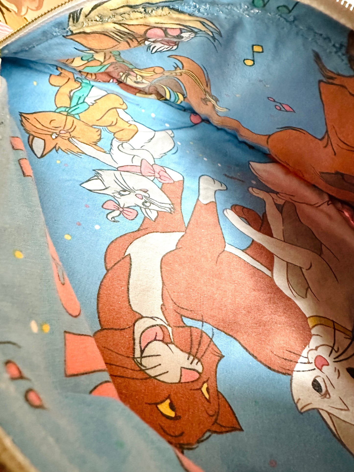 Les Aristochats Vichy Incognita (Rare)